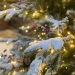 The magic of the Christmas light trail in Opotiki