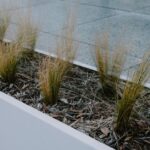 Welke stalen plantenbak past het beste bij jouw tuinontwerp?